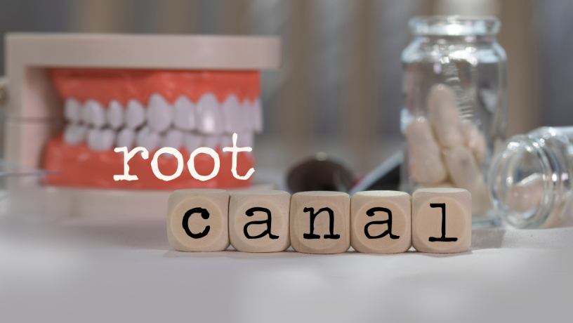 root Inicio